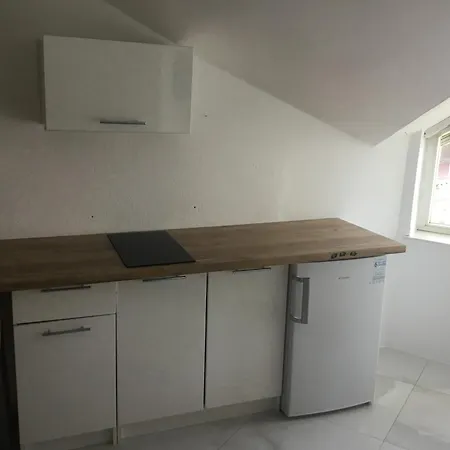 Homestay Adax With Huge Garden, Swimming Pool And Bbq Ljubljana