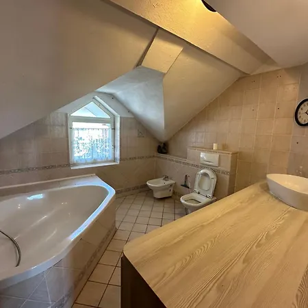 Adax With Huge Garden, Swimming Pool And Bbq Accommodatie bij particulieren Ljubljana