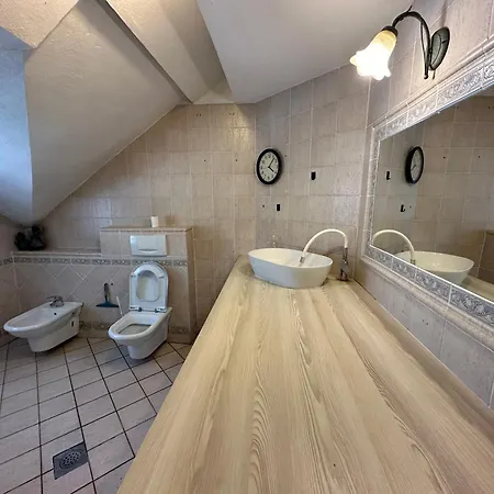 Accommodatie bij particulieren Adax With Huge Garden, Swimming Pool And Bbq Ljubljana