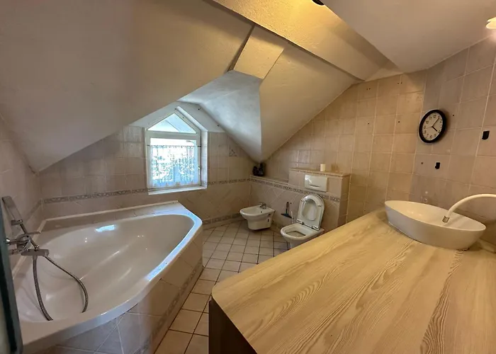 Adax With Huge Garden, Swimming Pool And Bbq Pansiyon Ljubljana