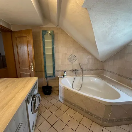 Adax With Huge Garden, Swimming Pool And Bbq Lublana